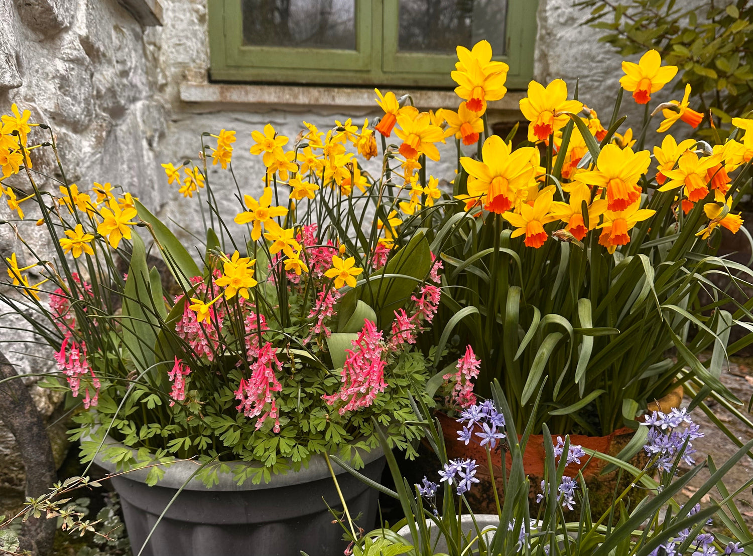 Garden Collections
