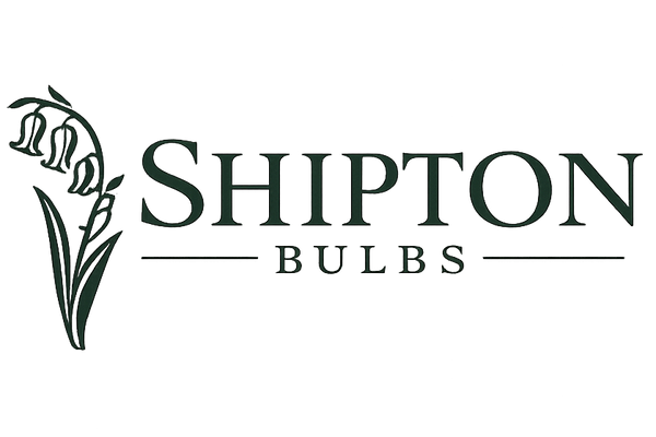 Shipton Bulbs