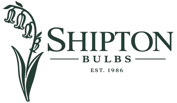 Shipton Bulbs